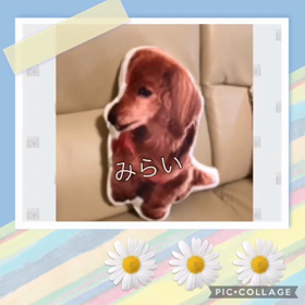 2022/05/29の画像
