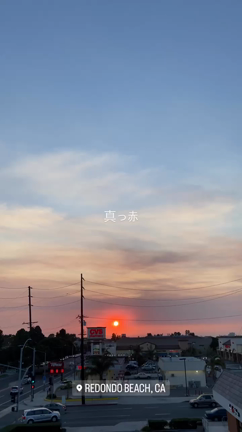 遂に！SHAKE SHACKがトーランスに♡赤い空の記事動画