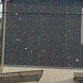 雪降ってきたの画像