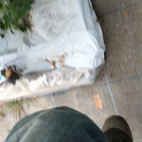 トマト収穫中に…の画像