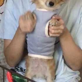 なにをされても…ぐみちゃんの画像