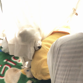鼻を出すれおの画像