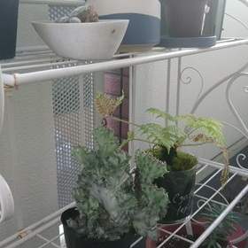 この季節がやってきた！の画像