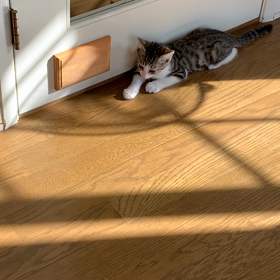 １９日目〜の画像