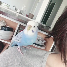 あいさつ交換。の画像