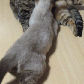 良いことも悪いことも目まぐるしく過ぎたの画像