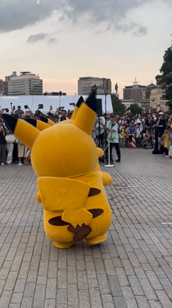 ピカチュウに会いにの記事動画