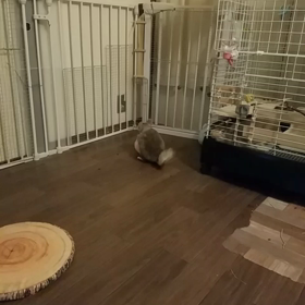 最近のあそびの画像