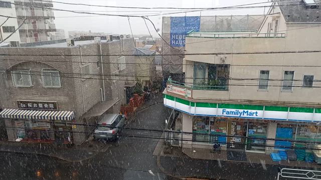 雪の日の記事動画