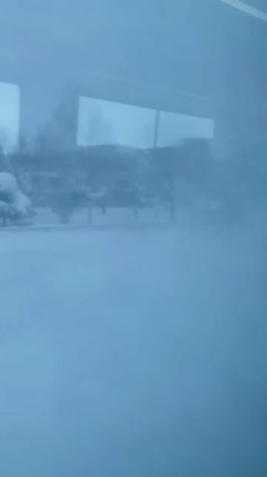 北海道の記事動画