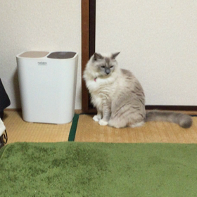 仕事おわり！！の画像