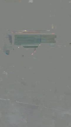 家での定位置は地べたになりましたの記事動画