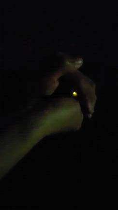朝の記事動画