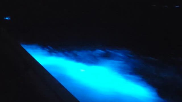 朝の記事動画