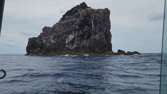 遠の記事動画