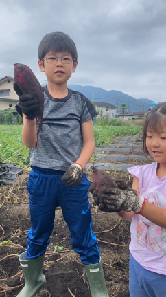 お芋掘れたよ、はい、ポーズ！の記事動画