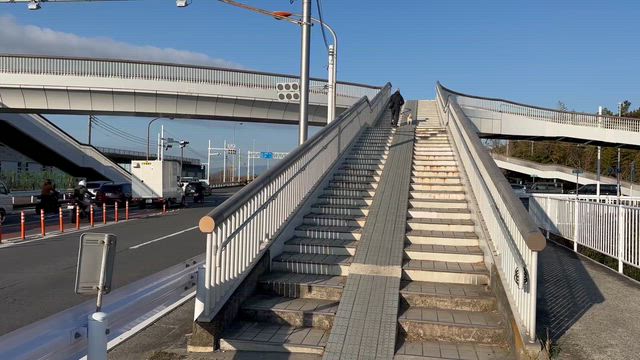 るる散歩260315の記事動画