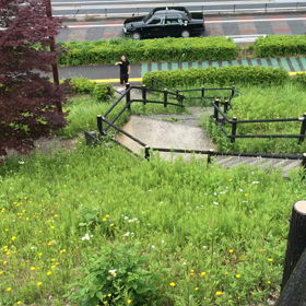 全力階段の画像