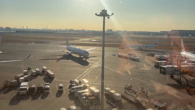 羽と海。の記事動画