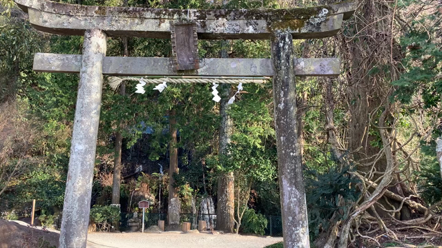 直感は距離関係なし！瀧川神社参拝の記事動画