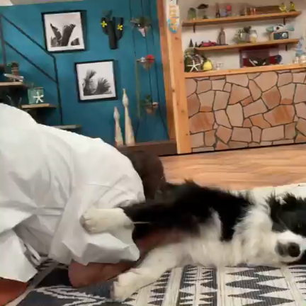 そりゃこんなにメロメロになるわ〜♡の記事動画