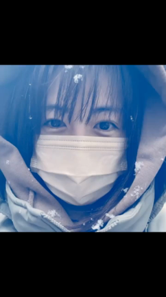 雪の日の記録。の記事動画