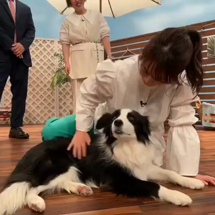 『2時45分からはスローでイージーなルーティーンで』の記事動画