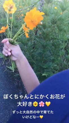 ☆*:;;;;;:*☆ゆる〜く☆*:;;;;;:*☆の記事動画