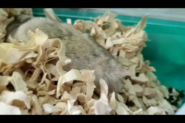 何度も名前を呼んだら❤の記事動画