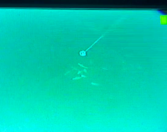 確保したいの記事動画