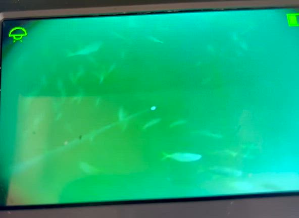 風弱くの記事動画