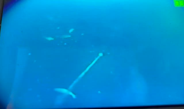 休み明けの記事動画