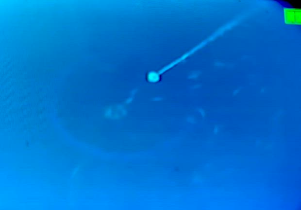 今日も確保、沖への記事動画