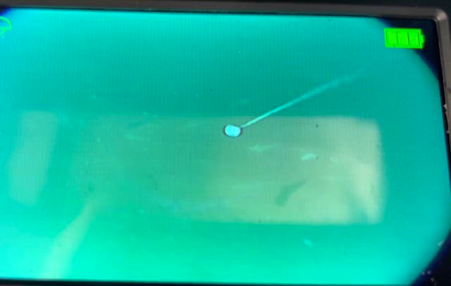 今日も凪の記事動画