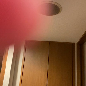 昭和枯れススキの画像