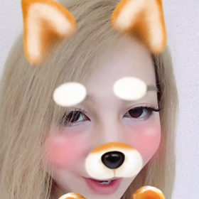初投稿は動画の画像