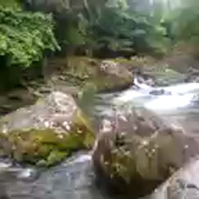 動画の画像