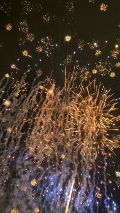 富士まつり2025の記事動画