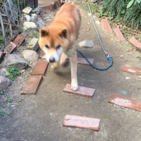 憲俊です。〜ましゃむね〜の画像