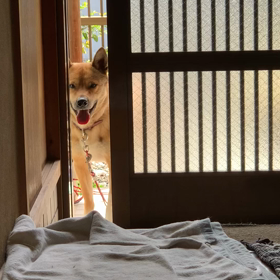 憲俊です。〜本日ツイキャス〜の画像