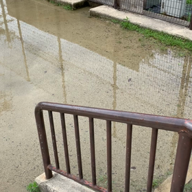 憲俊です。〜お知らせらせ〜の画像
