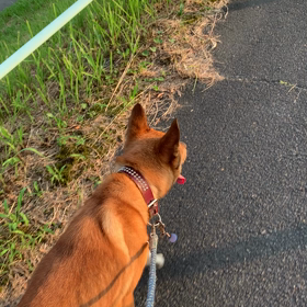 憲俊です。〜お泊まりたびまる〜の画像