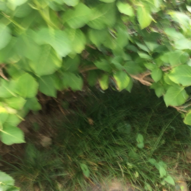 憲俊です。〜打ち水〜追記〜の画像