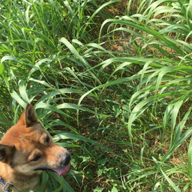 憲俊です。〜向き合う〜の画像