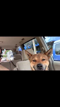 憲俊です。〜役者人生の集大成〜の記事動画