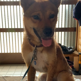 憲俊です。〜反省〜の画像