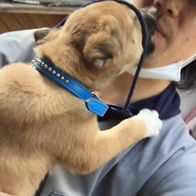 憲俊です。〜即興劇一人芝居トーナメントの画像