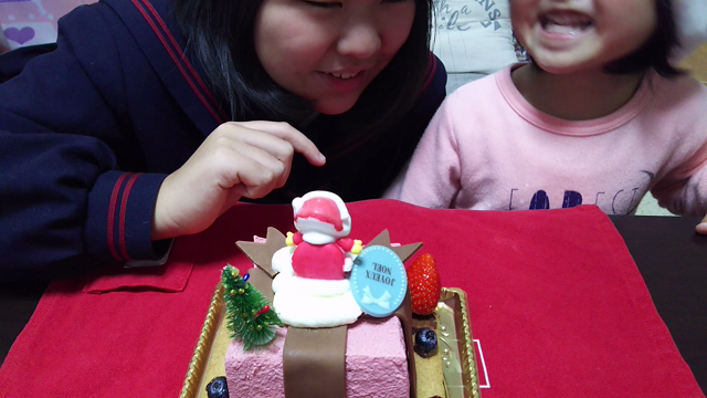 写真とTwitterで振り返る2017年クリスマス。の記事動画