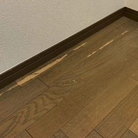 リペアの画像