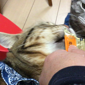 横取りの画像